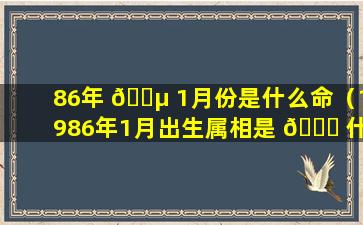 86年 🐵 1月份是什么命（1986年1月出生属相是 🐕 什么）